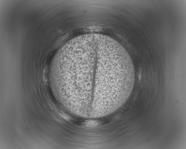 X0000080160218200701051614