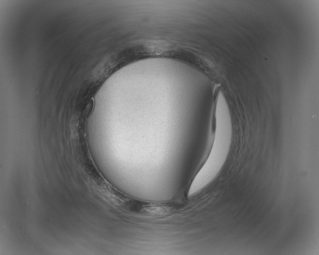 X0000080160221200701051613