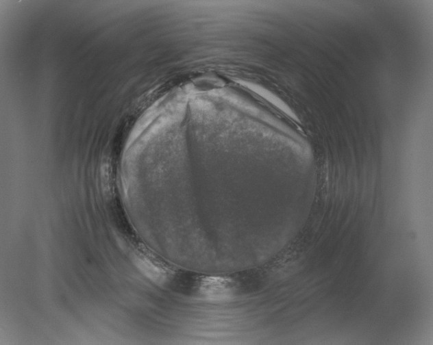 X0000080160222200701051613