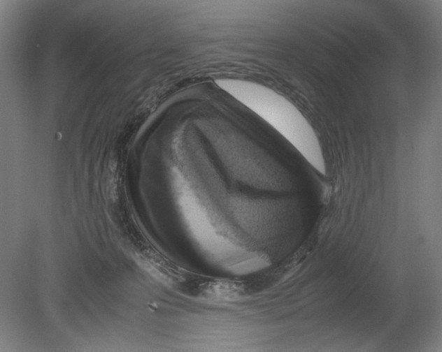 X0000080160223200701051613