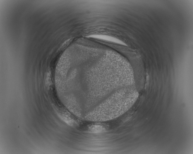 X0000080160224200701051613