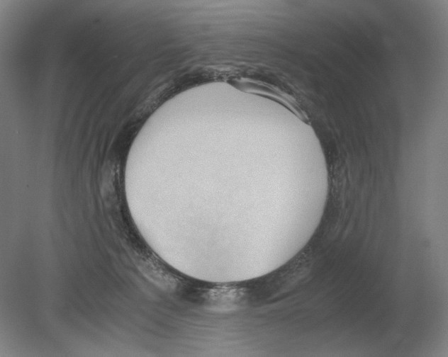 X0000080160225200701051613