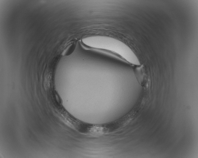 X0000080160227200701051613