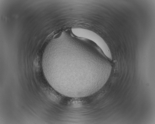 X0000080160228200701051613