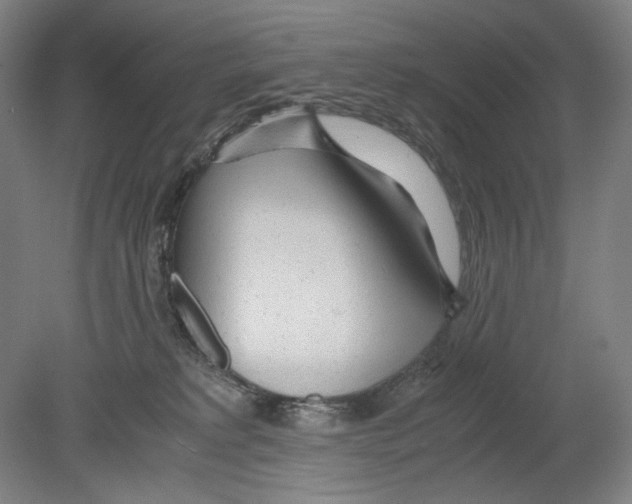 X0000080160229200701051613