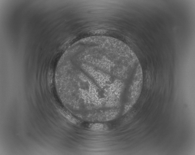 X0000080160230200701051613