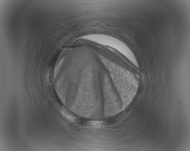 X0000080160233200701051613