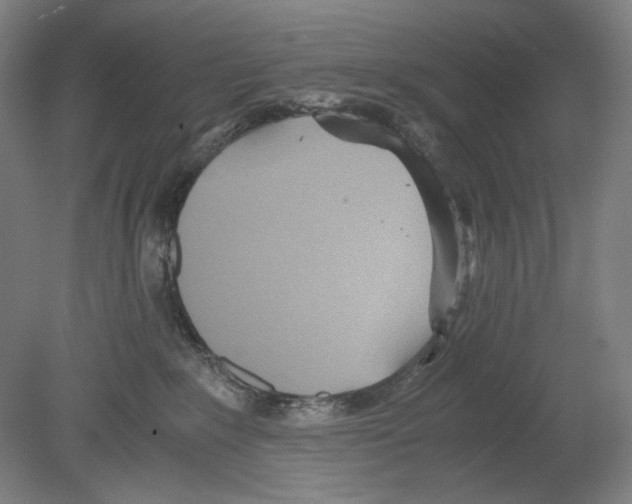 X0000080160235200701051613