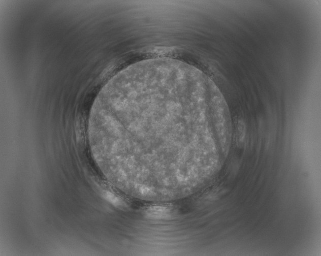 X0000080160236200701051613