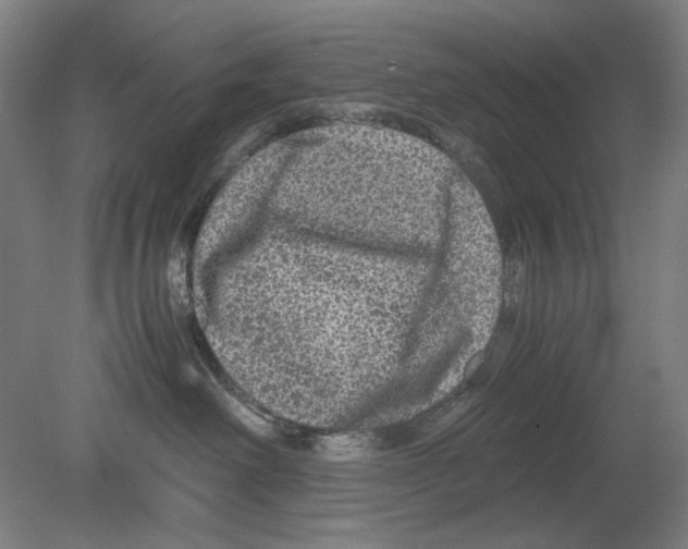 X0000080160238200701051613