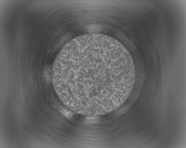 X0000080160240200701051613