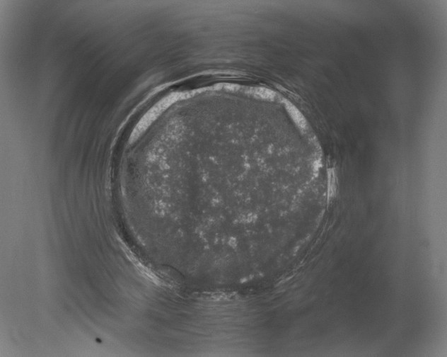 X0000080160243200701051612