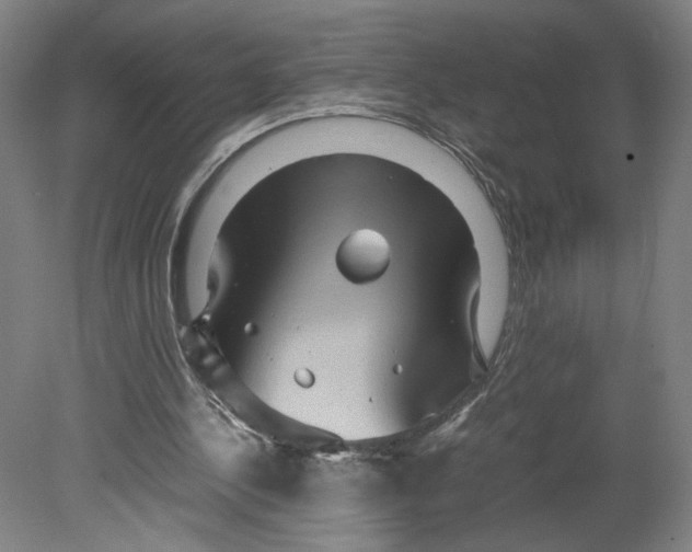 X0000080160244200701051612