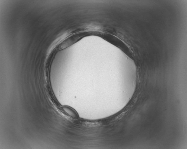 X0000080160245200701051612