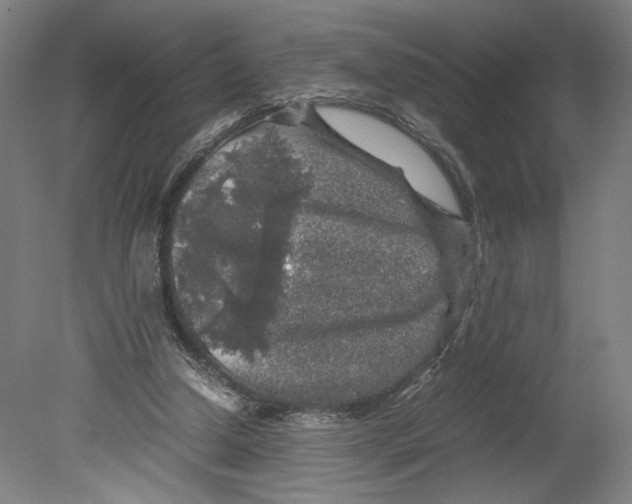 X0000080160250200701051613