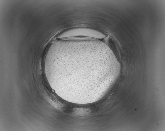 X0000080160251200701051613