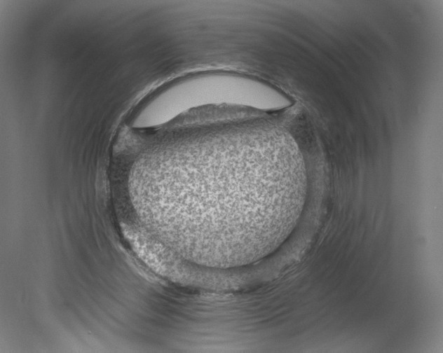 X0000080160252200701051613