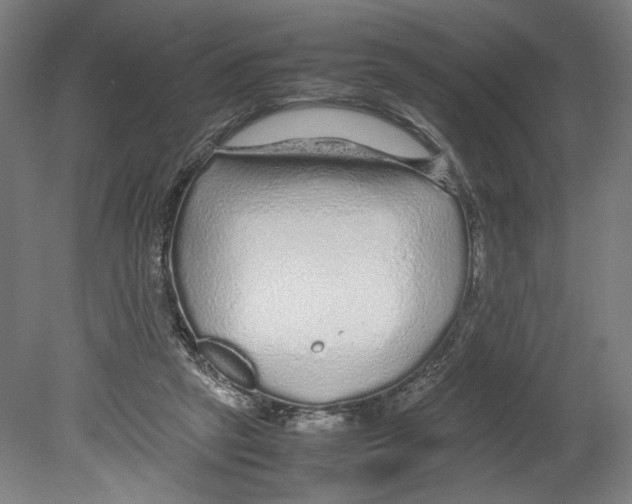 X0000080160257200701051613