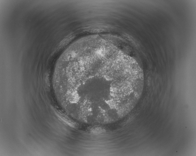 X0000080160258200701051613