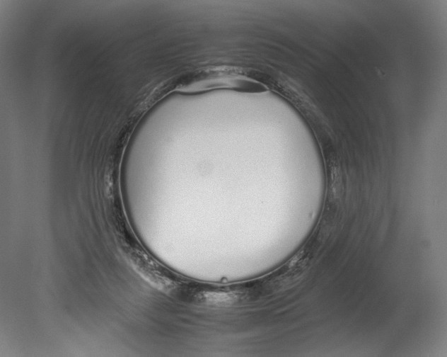 X0000080160259200701051613