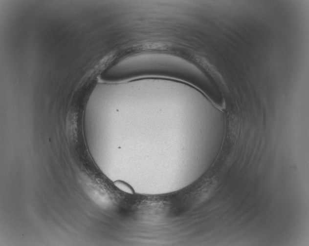 X0000080160260200701051613