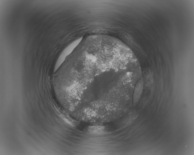 X0000080160266200701051613