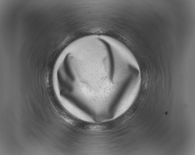 X0000080160268200701051613