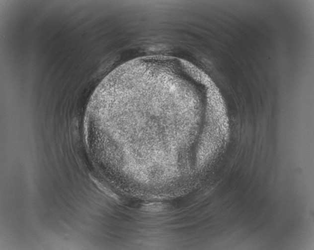 X0000080160269200701051613