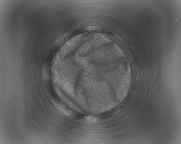 X0000080160272200701051613