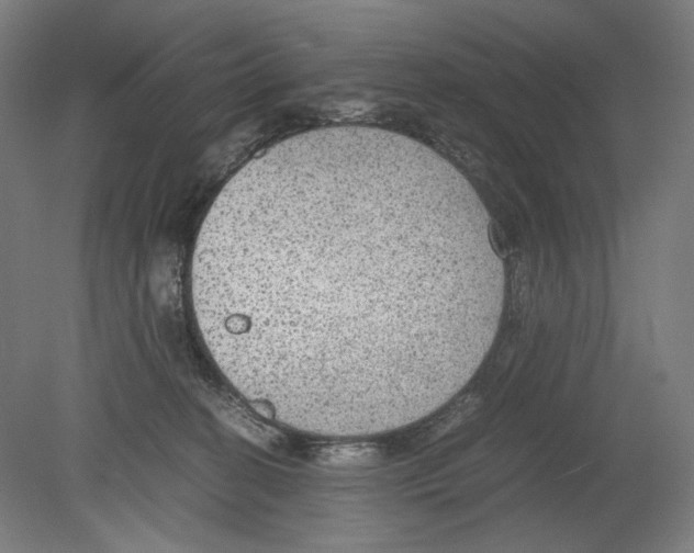 X0000080160274200701051613