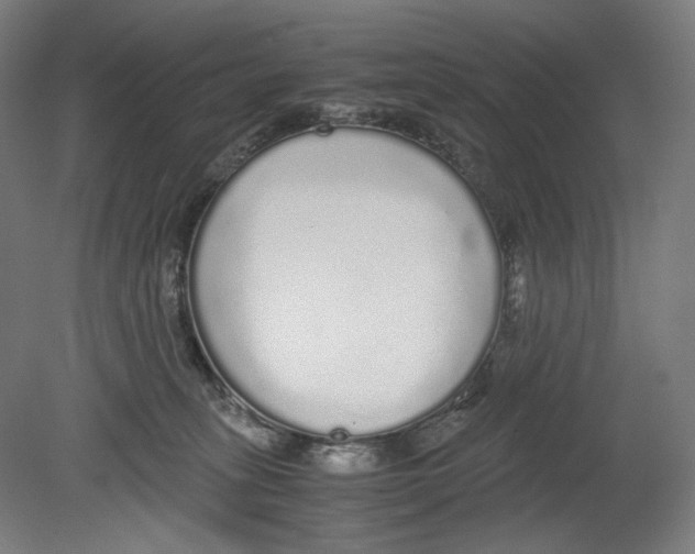 X0000080160275200701051613