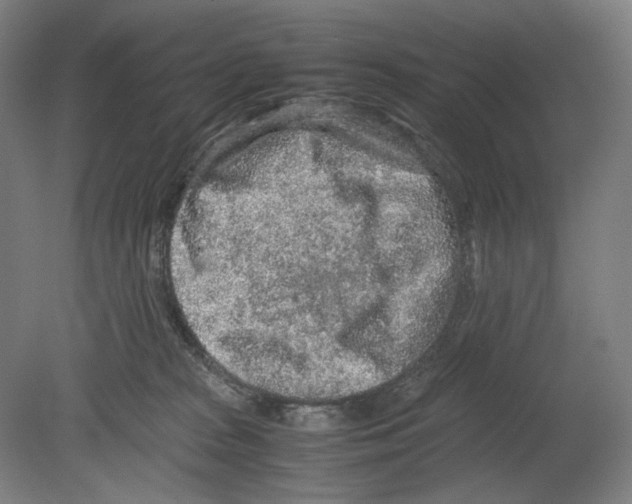 X0000080160277200701051613