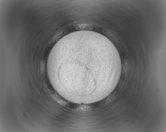 X0000080160278200701051613