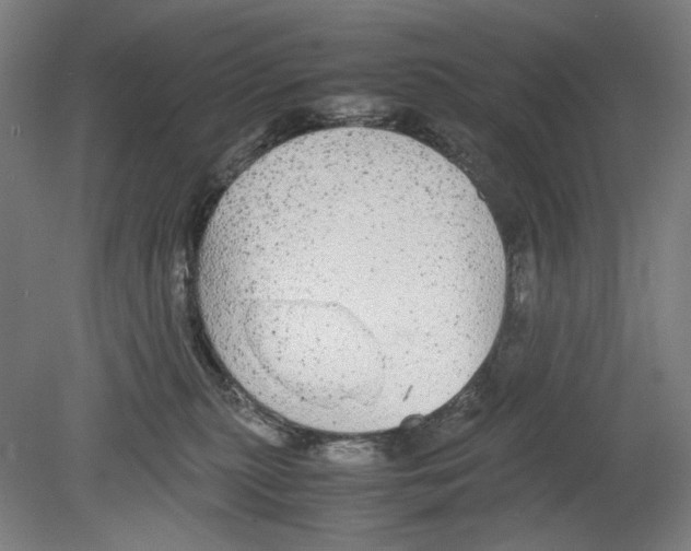 X0000080160279200701051613