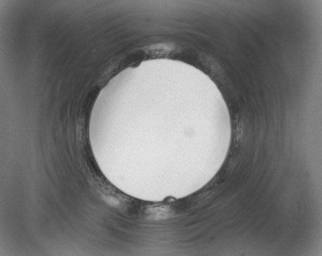 X0000080160283200701051613