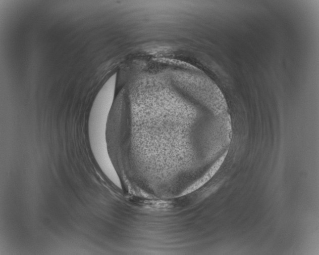 X0000080160288200701051613