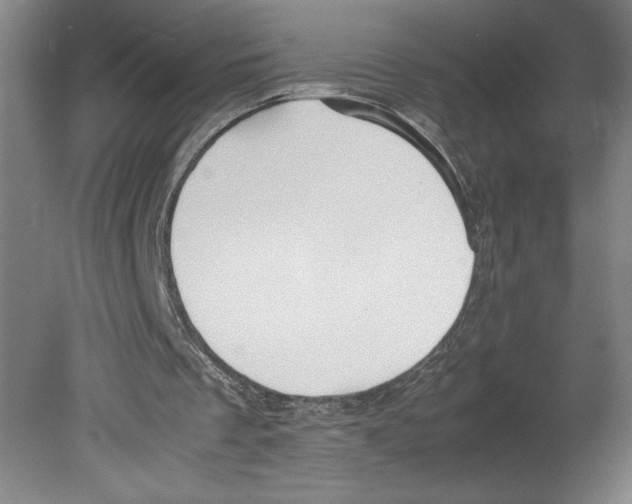 X0000080160289200701051612