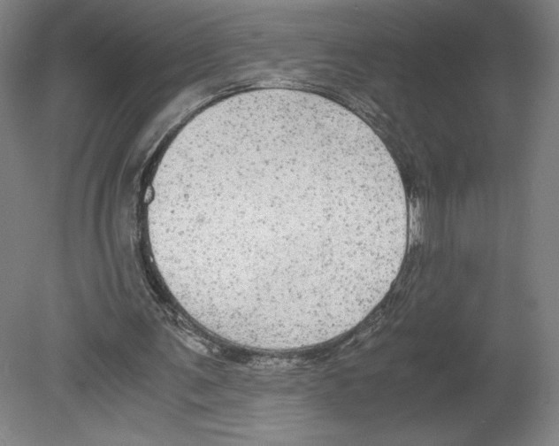 X0000080160291200701051612