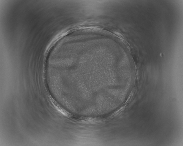 X0000080160293200701051612