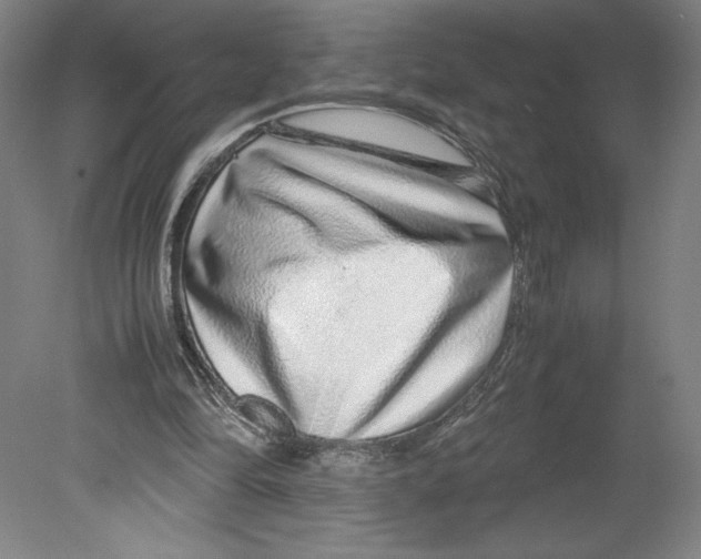 X0000080160294200701051612