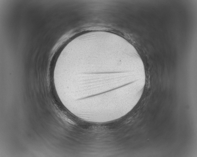 X0000080160296200701051612