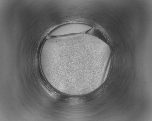 X0000080160298200701051612