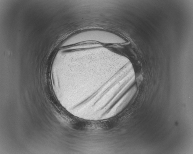 X0000080160299200701051612