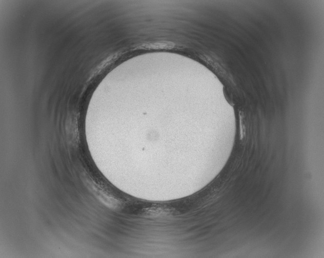 X0000080160300200701051612