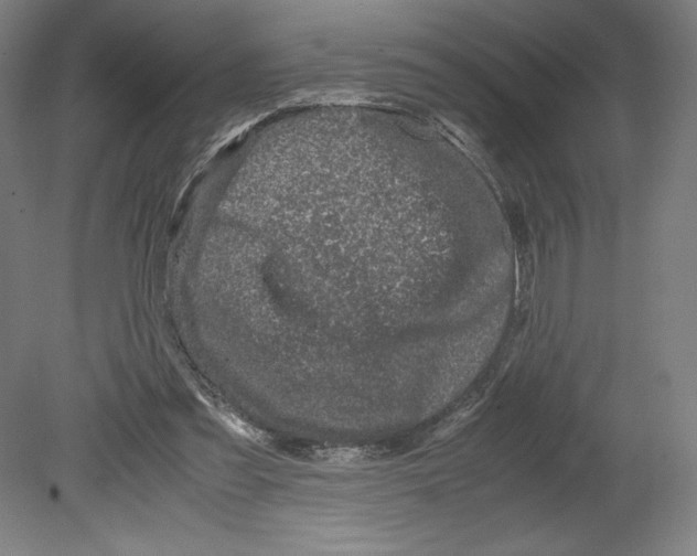 X0000080160301200701051612