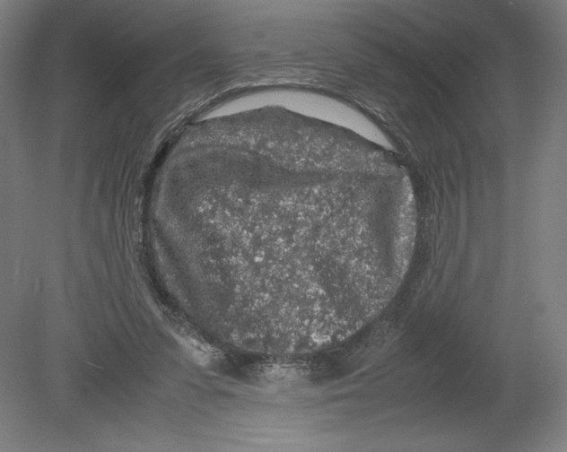 X0000080160303200701051612