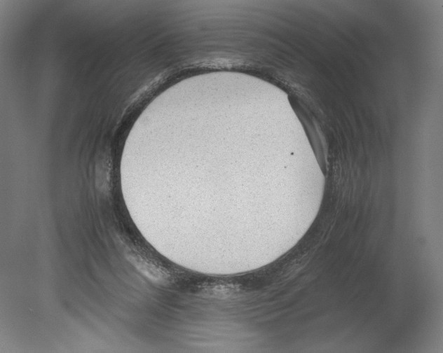 X0000080160304200701051612