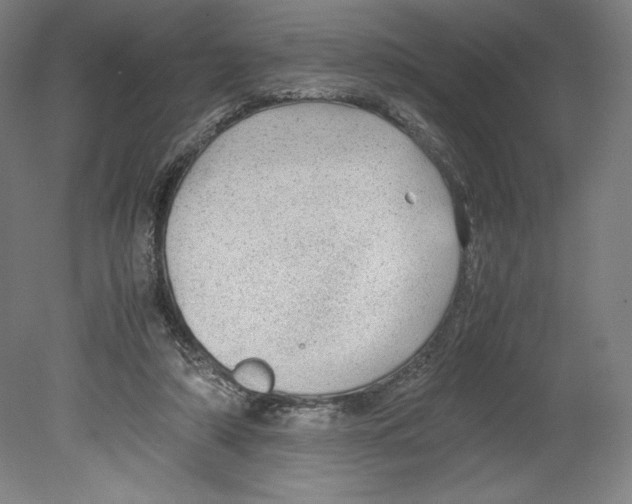 X0000080160306200701051612