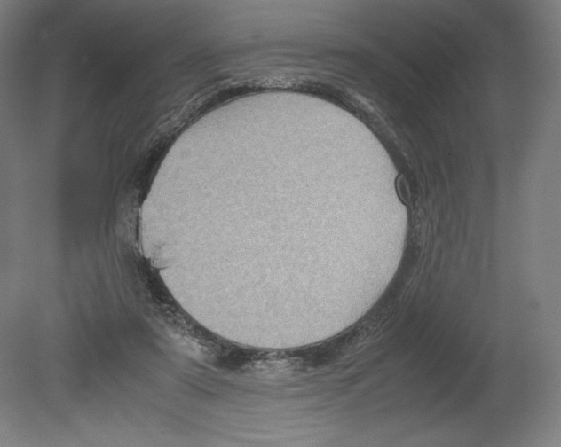 X0000080160307200701051612