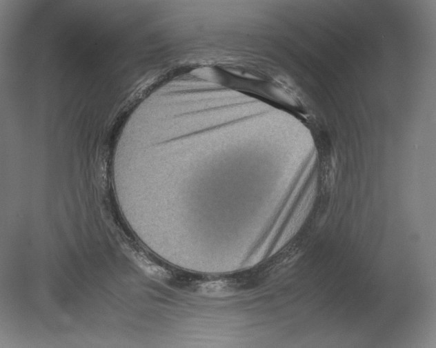 X0000080160309200701051612